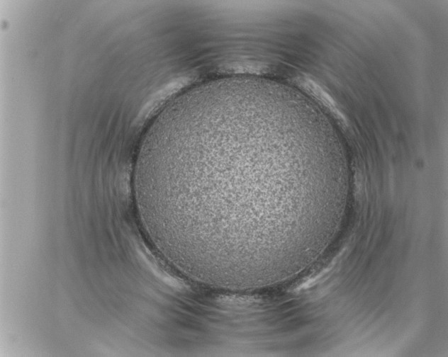 X0000087360537200705041857