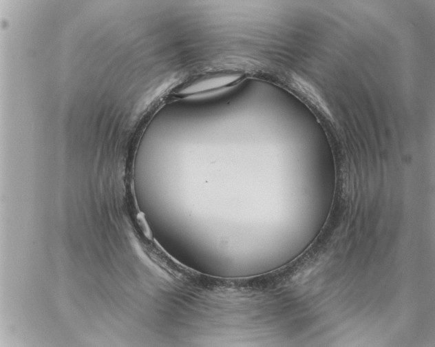 X0000087360538200705041857