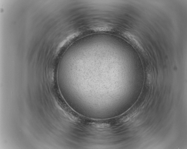 X0000087360539200705041857