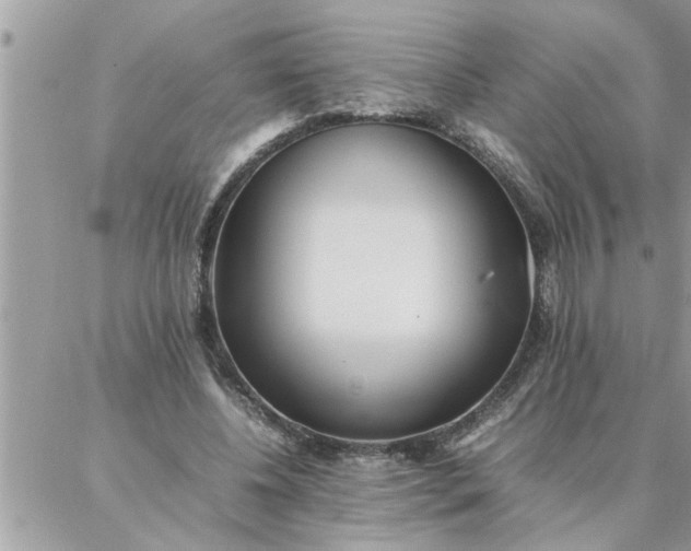 X0000087360540200705041858