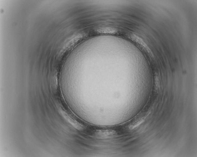 X0000087360541200705041858