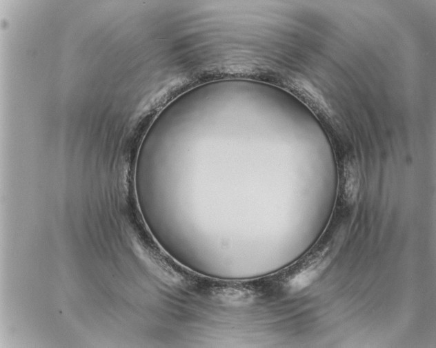 X0000087360542200705041858