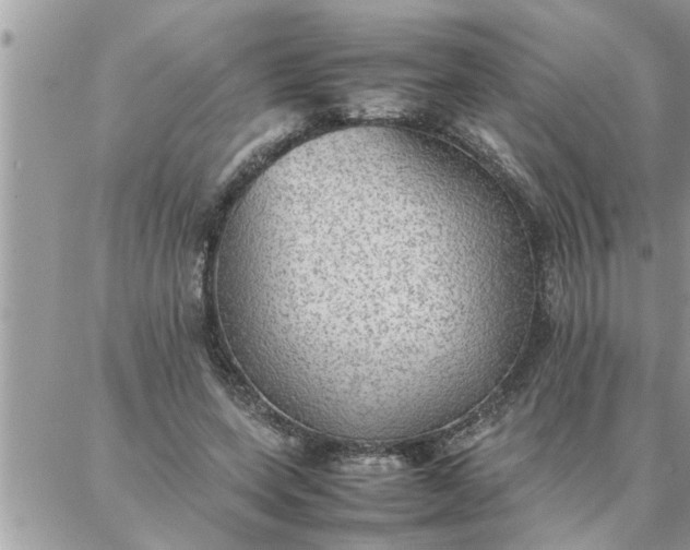 X0000087360543200705041858