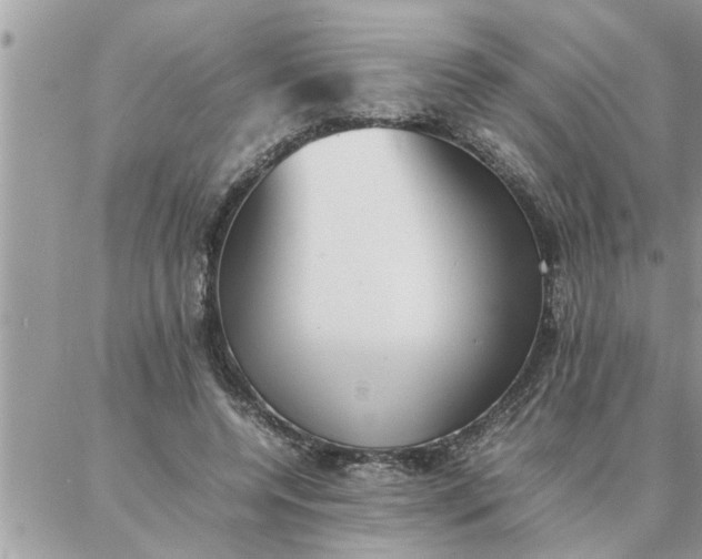 X0000087360544200705041858