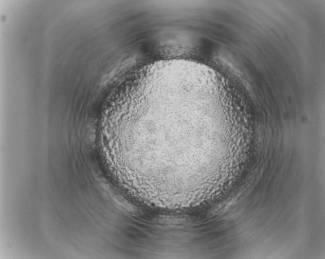 X0000087360545200705041858