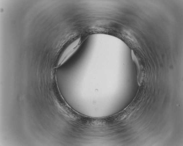 X0000087360546200705041858