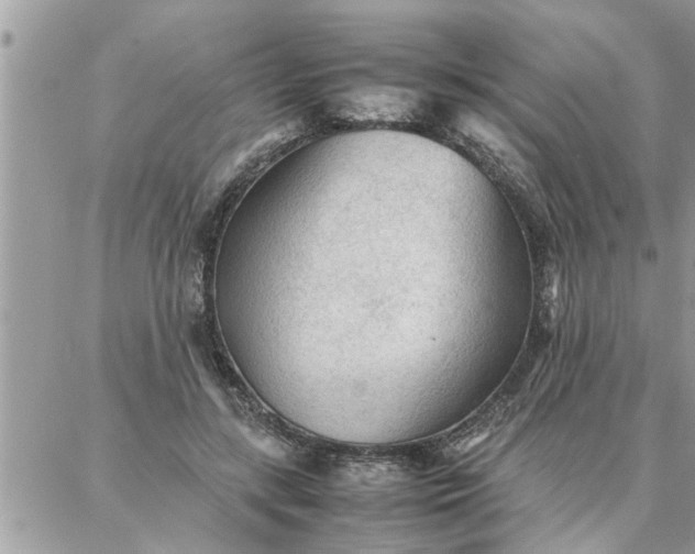 X0000087360547200705041858