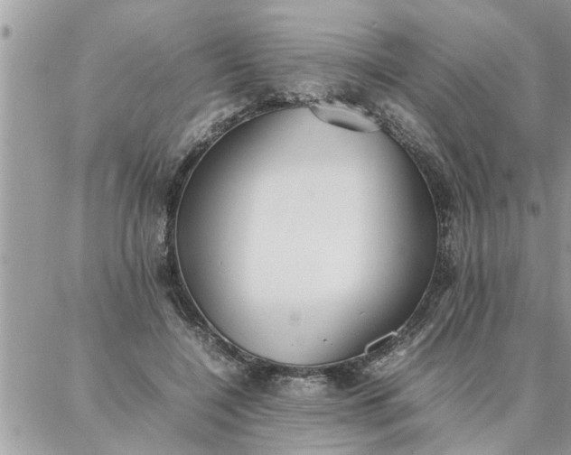 X0000087360548200705041858