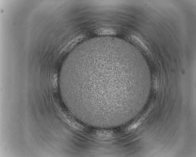 X0000087360549200705041858