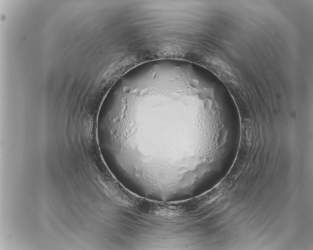 X0000087360550200705041858