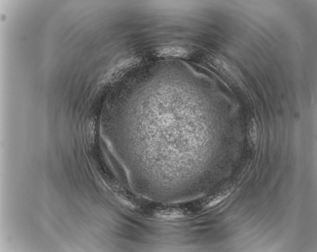 X0000087360551200705041858