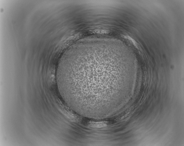 X0000087360553200705041858