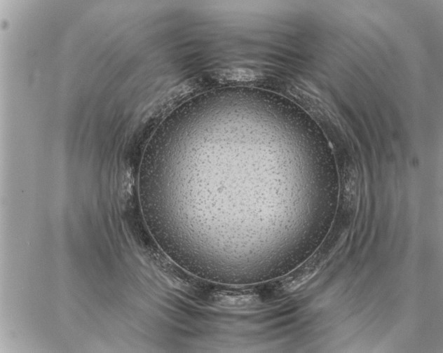 X0000087360555200705041858