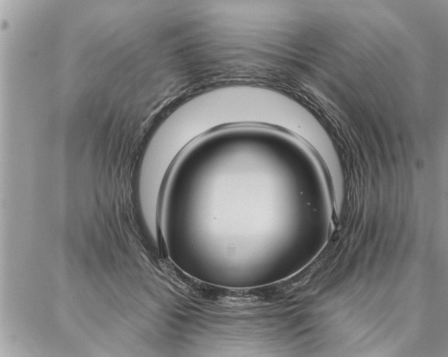 X0000087360556200705041858