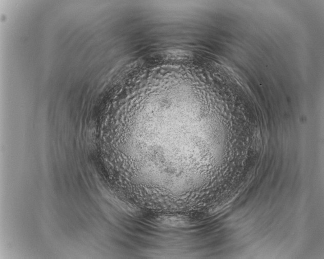 X0000087360557200705041858