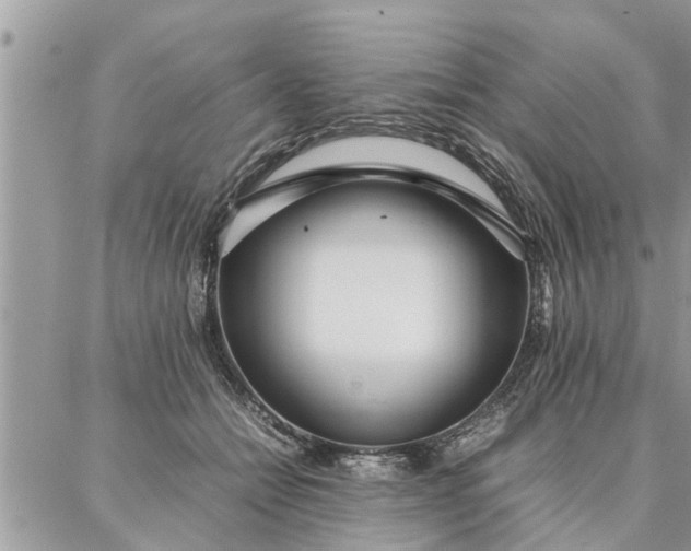 X0000087360558200705041858