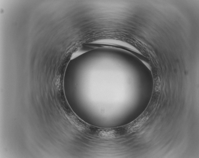 X0000087360560200705041858