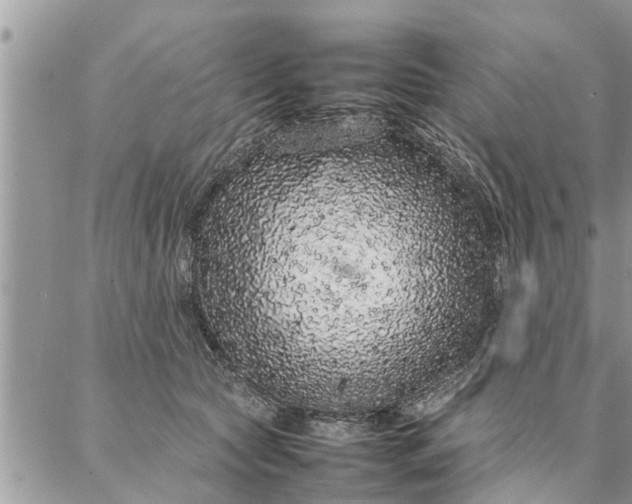 X0000087360561200705041858