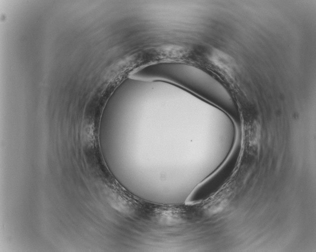 X0000087360564200705041858