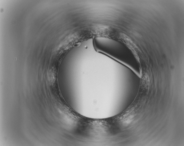 X0000087360566200705041858