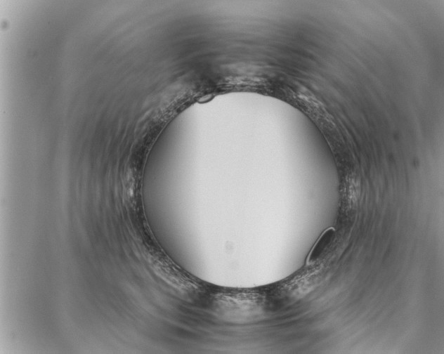 X0000087360567200705041858