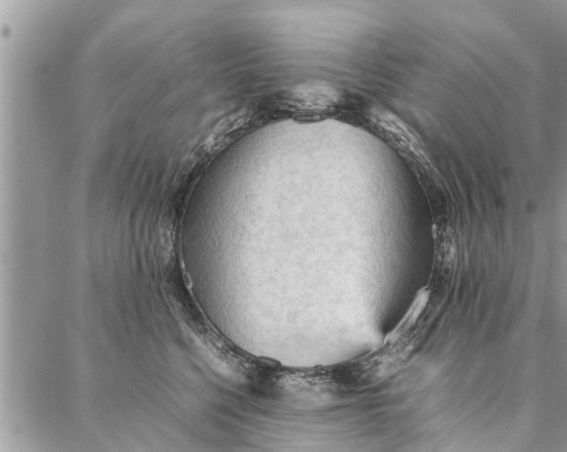 X0000087360568200705041858