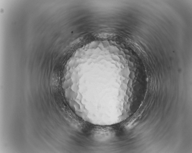 X0000087360569200705041858