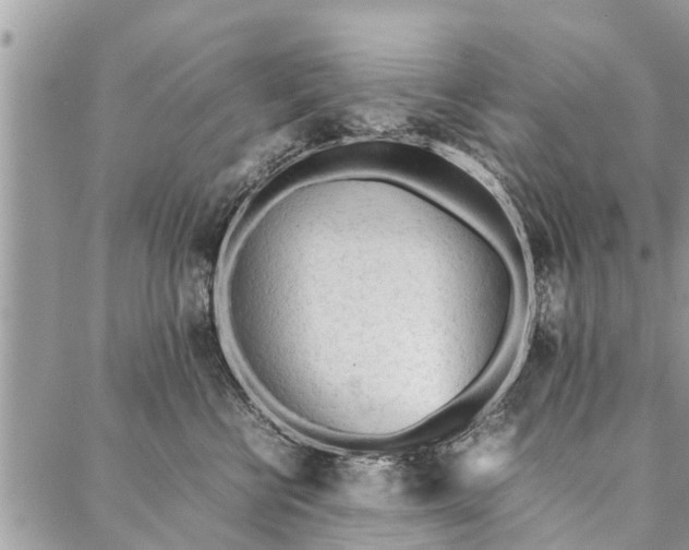 X0000087360570200705041858