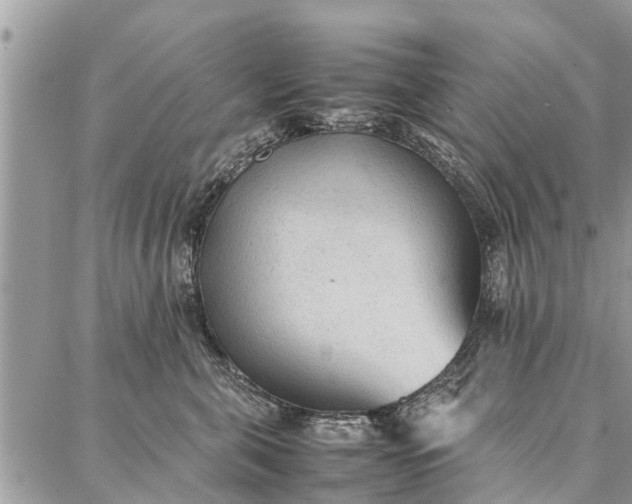 X0000087360571200705041858