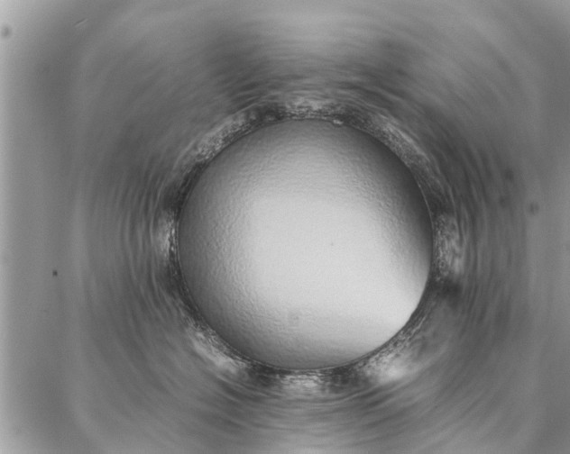 X0000087360574200705041858