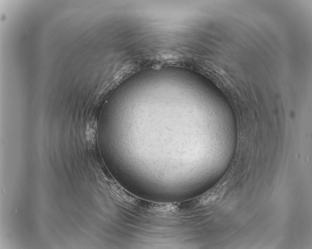 X0000087360576200705041858