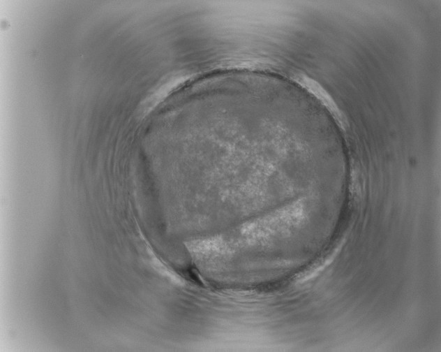 X0000087360577200705041857