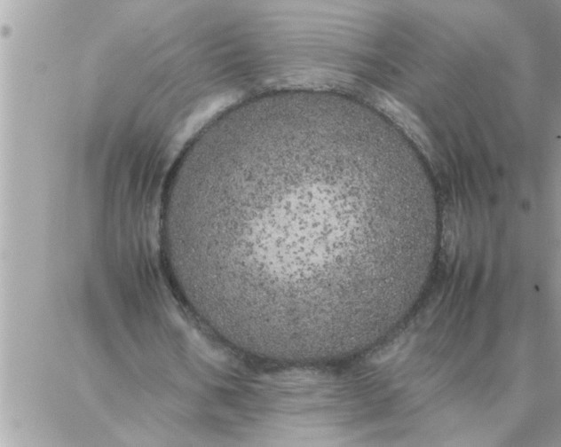 X0000087360578200705041857