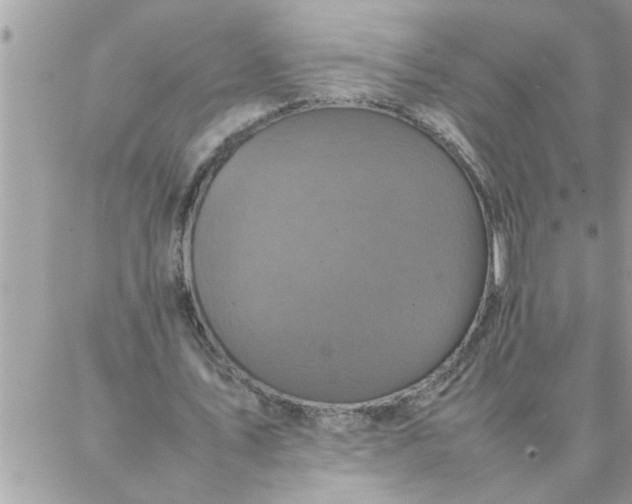 X0000087360579200705041857