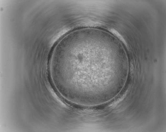 X0000087360581200705041857