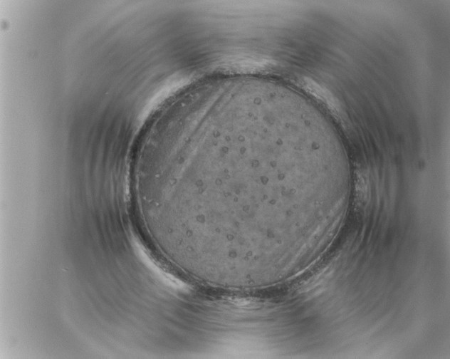 X0000087360582200705041857