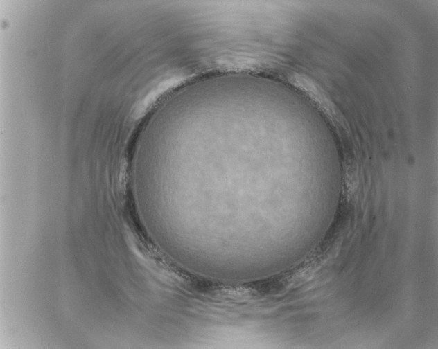 X0000087360583200705041857