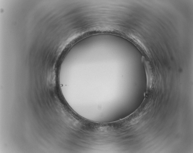 X0000087360584200705041857