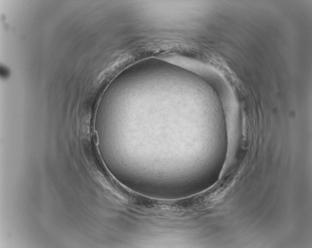 X0000087360585200705041857