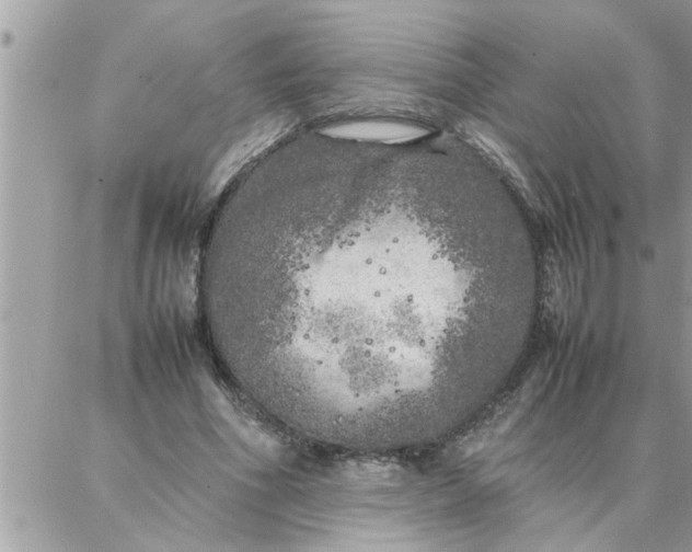 X0000087360586200705041857