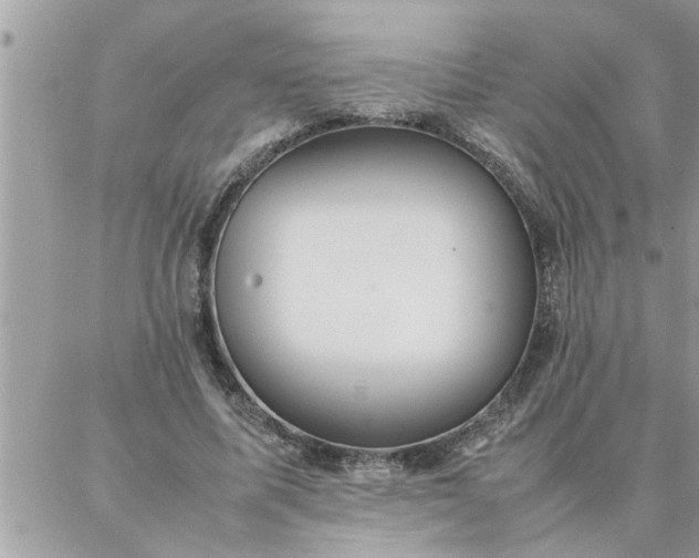 X0000087360587200705041857