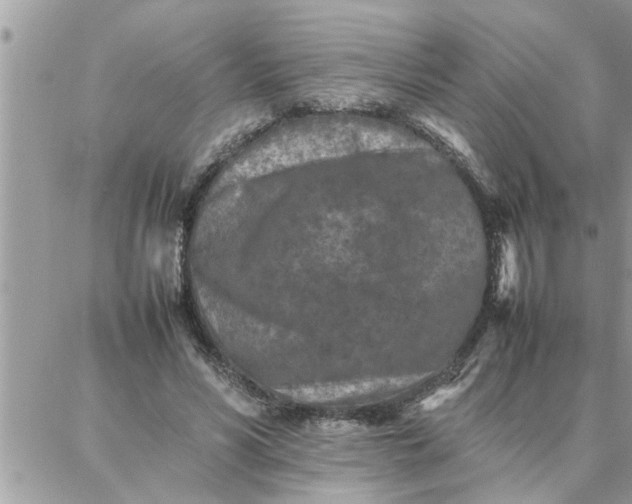 X0000087360590200705041857