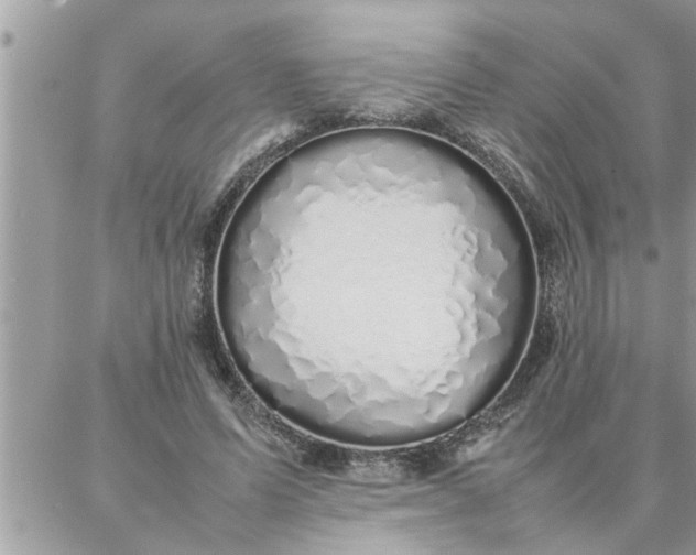 X0000087360591200705041857