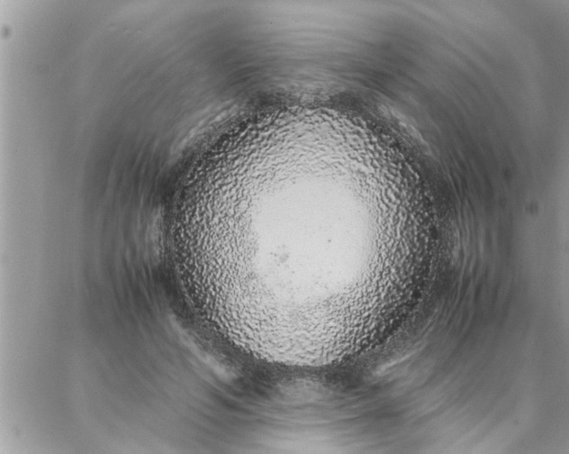 X0000087360594200705041857