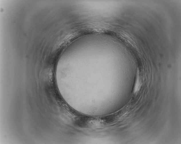 X0000087360595200705041857