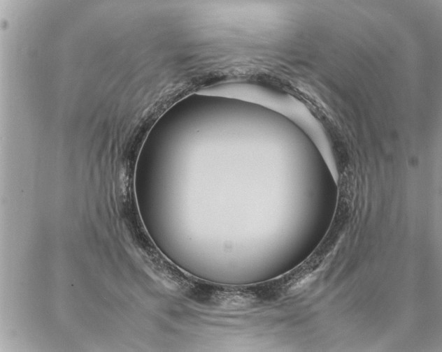 X0000087360597200705041857