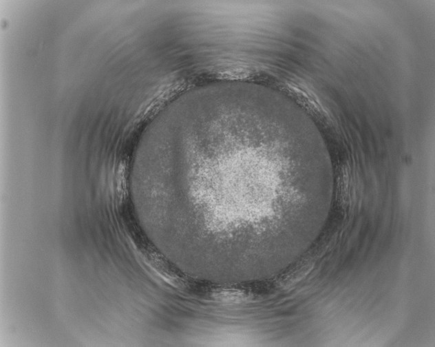 X0000087360598200705041857