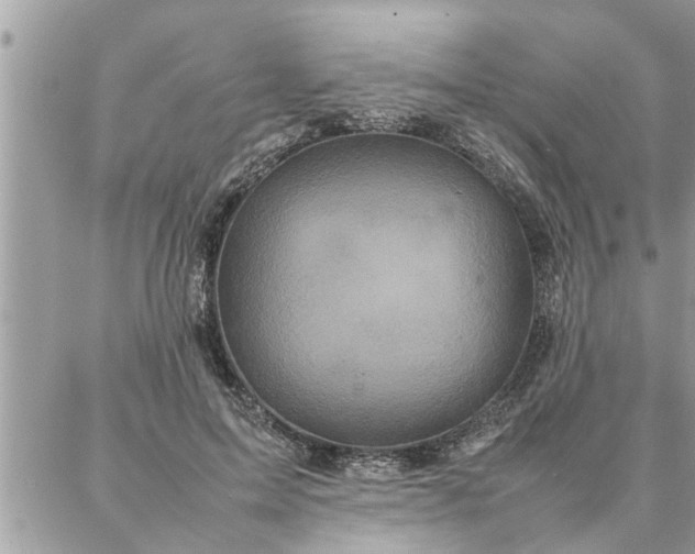 X0000087360599200705041857