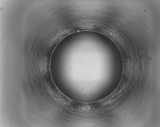 X0000087360600200705041857