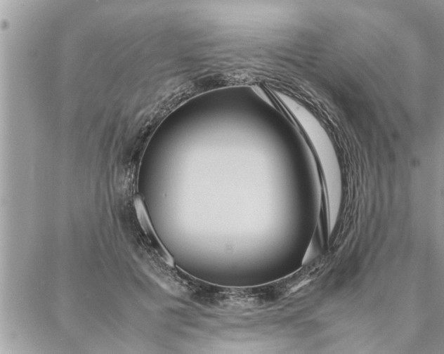 X0000087360601200705041857